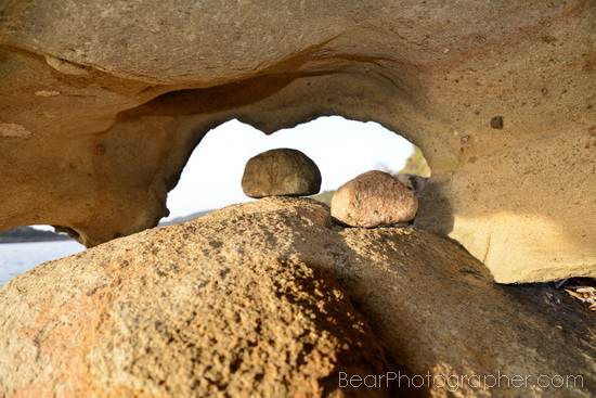 tips for better photos - unusual viewpoint - show your subjects different