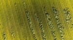 paisagens - fotografia forte com drones da natureza masculina