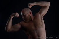 Ours musclé catalan - photos de studio